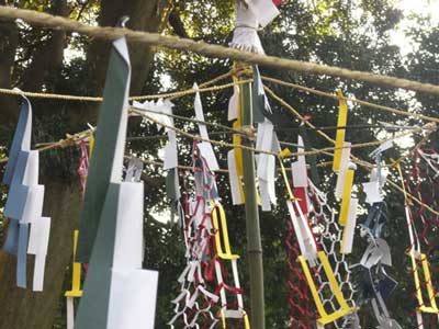 ���_�_�Џ��_�y1