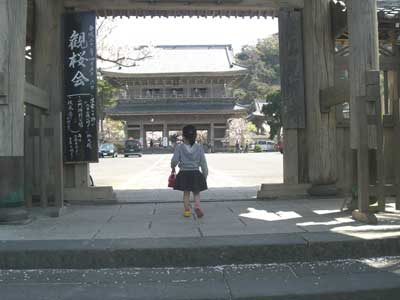 �������ύ���2