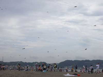 �R��P�l�C�݁@�q�ǂ������������1