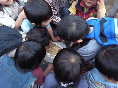 �������@���m�V�ߕ���5